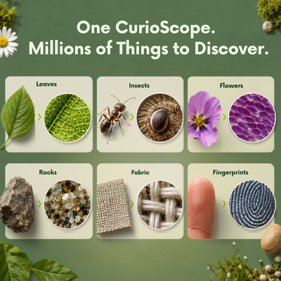 KurioKids Discovery Microscope