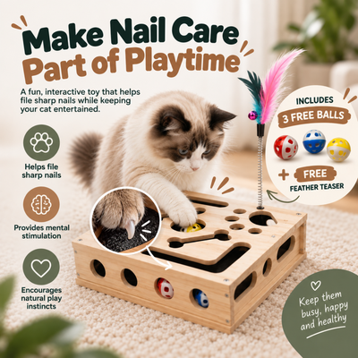 ClawQuest™ - The enrichment toy that helps take care of sharp claws.