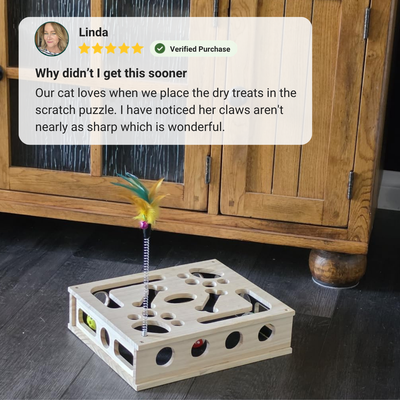 ClawQuest™ - The enrichment toy that helps take care of sharp claws.