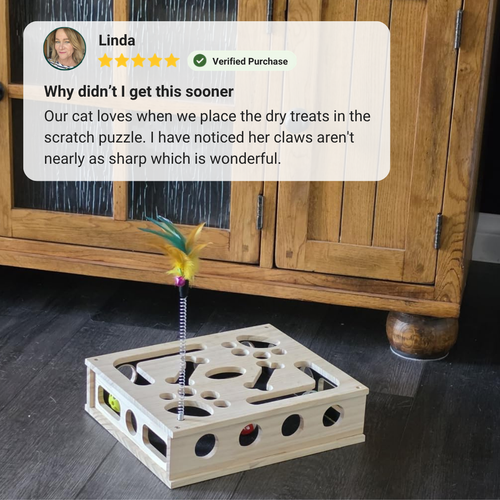 ClawQuest™ - The enrichment toy that helps take care of sharp claws.