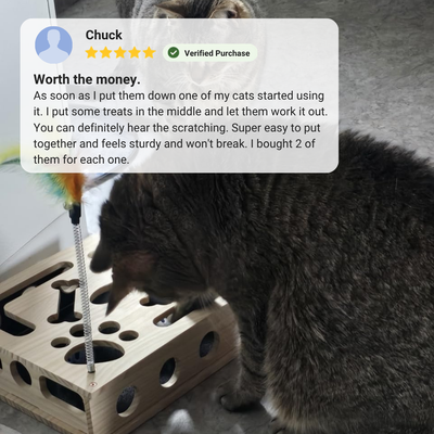ClawQuest™ - The enrichment toy that helps take care of sharp claws.