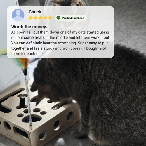 ClawQuest™ - The enrichment toy that helps take care of sharp claws.