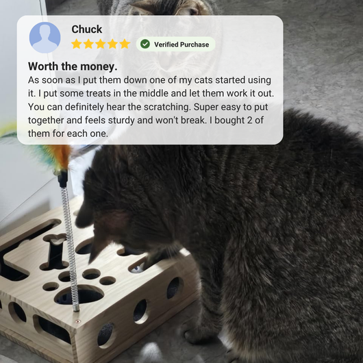 ClawQuest™ - The enrichment toy that helps take care of sharp claws.