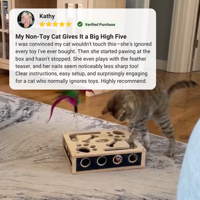 ClawQuest™ - The enrichment toy that helps take care of sharp claws.